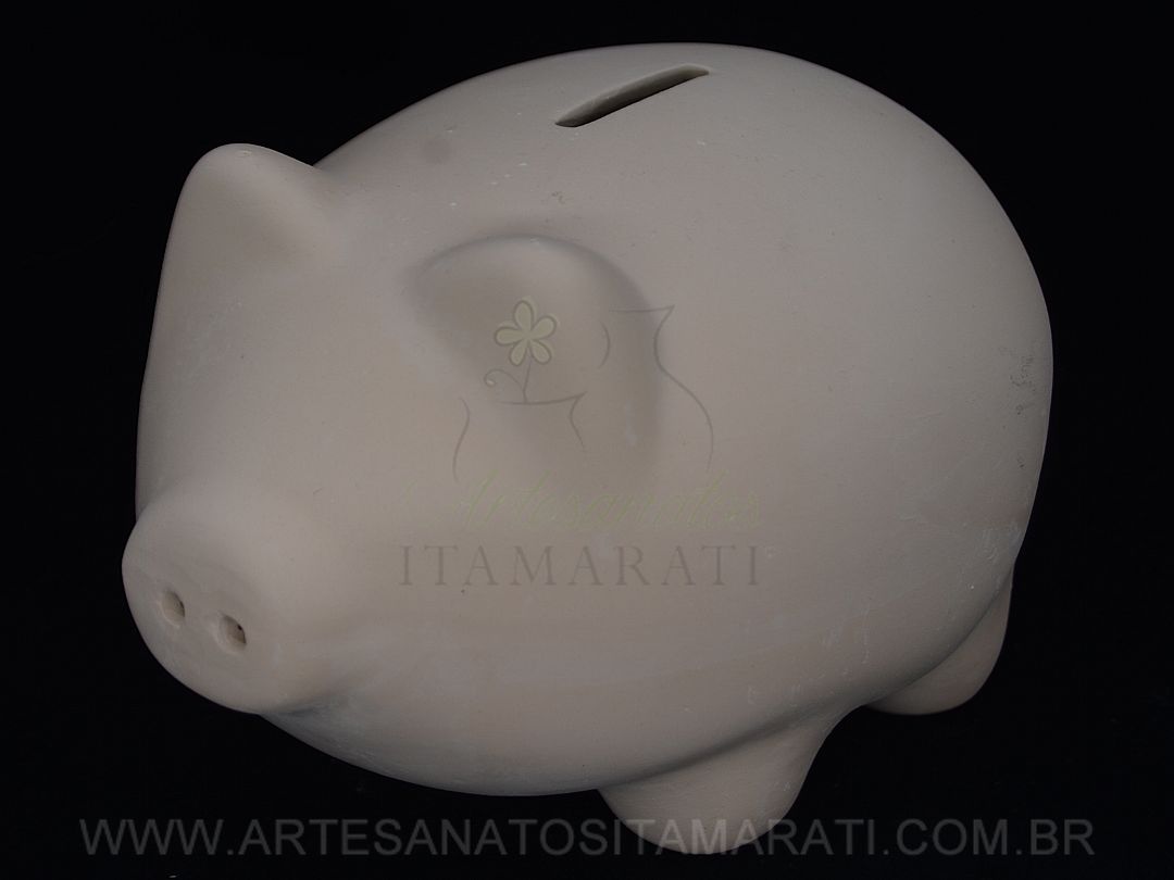 Detalhes do produto Porco Cofre Bola G